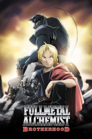 Fullmetal Alchemist: Brotherhood – Subtitrat în română (UniversulAnime)