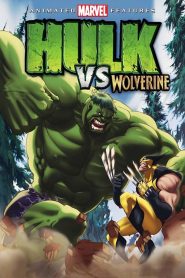 Hulk vs. Wolverine – Subtitrat în română (UniversulAnime)