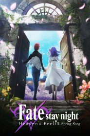 Fate/stay night: Heaven’s Feel III. Spring Song – Subtitrat în română (UniversulAnime)