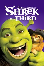 Shrek al treilea – Dublat în română (UniversulAnime) – 1080p