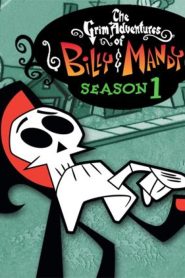 Sumbrele aventuri ale lui Billy și Mandy – Sezonul 1 – Dublat în română (UniversulAnime)