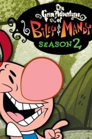 Sumbrele aventuri ale lui Billy și Mandy – Sezonul 2 – Dublat în română (UniversulAnime)