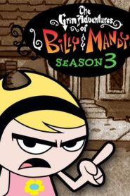 Sumbrele aventuri ale lui Billy și Mandy – Sezonul 3 – Dublat în română (UniversulAnime)