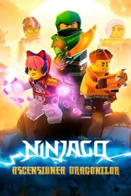 Ninjago: Ascensiunea dragonilor – Dublat în română (UniversulAnime) – 1080p